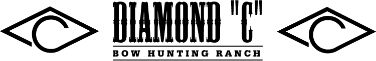 Watermark